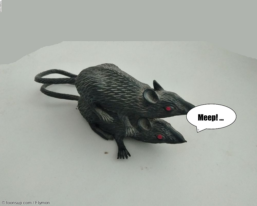 Photo: Jetzt tun's bei mir schon ... 1