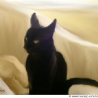 Not KiteKat it`s Schnucki