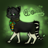 Basil ze british kat