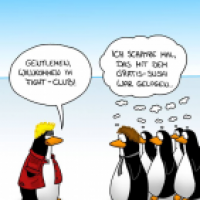 Irreführende Werbung