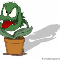 Fleischfressende Pflanze