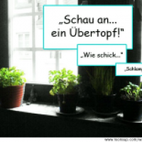 Übertopf oder..