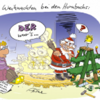 Der echte Schwabe baut selbst!