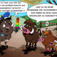 Grenzwertiges Schweinkram