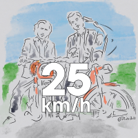 25 km/h