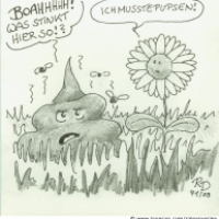 Stinkeblume
