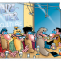 Comic von Stefan Bayer: Die Thekenpiraten 104