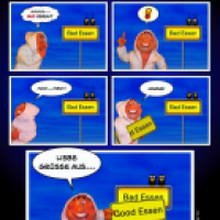 Bad Essen Wellness