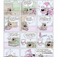 Lumpi dreht total ab (schon wieder)!