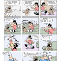 Grobi schnorrt ein Bier