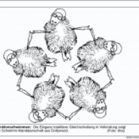 Synklonschwimmen (synclonized swimming)