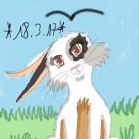 Hase