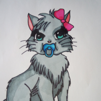 Baby katze