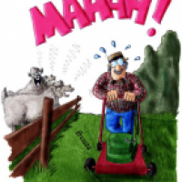 Määäähn!
