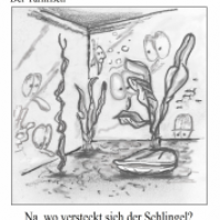 Wo Ist Der Fisch?
