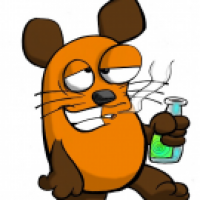 Jetzt kommt die Maus!