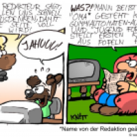 Redaktionswahn
