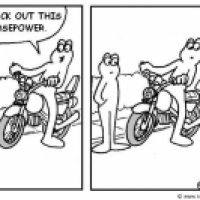 Horse power