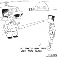 Hueys