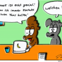 Facebook Fans