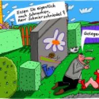 Mal nachgefragt