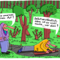 Weg im Wald