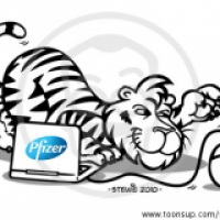 Year of the Tiger