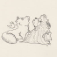 .. ich sehe was, was du nicht siehst und das ist rosa