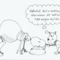 Leos Diätversuch