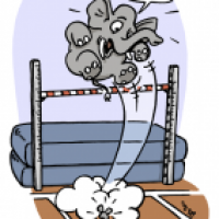 Huchsprung