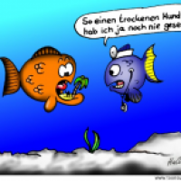 Beim Fischarzt