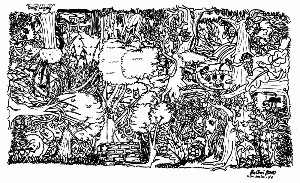 Picture Puzzle: Wierum ? 2