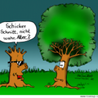 Schicker Schnitt