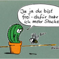 Kaktus-vs-Biene