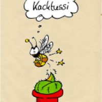 Kacktussi
