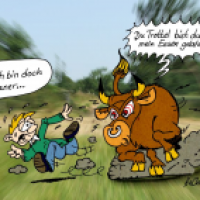 VeganerVsStier