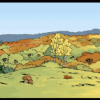 Dilldappe Zeichentrickfilm