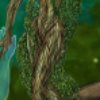 Tree Lady