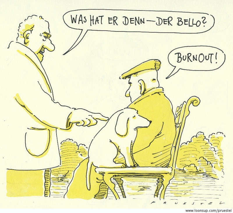 Cartoon: armer hund 1