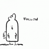 Follow the chicken