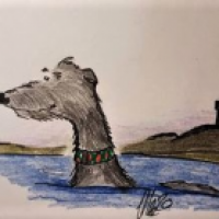 Deerhound Diaries 'New Nessie'