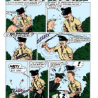 Bullenpeitsche