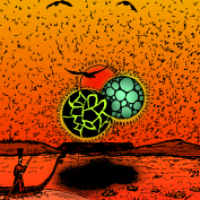 Die Sonnentage sind vorbei