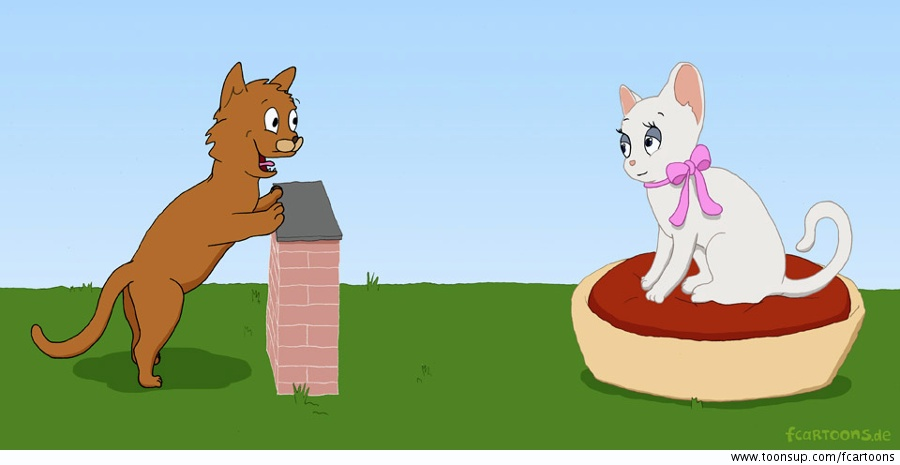 Illustration: Verliebte Katzen 1