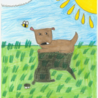 Ein hund und sein schatten