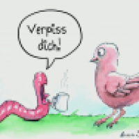 Der Frühe Vogel ist ein Arschloch