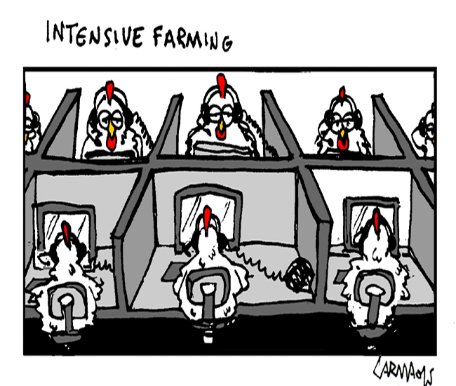 Cartoon: Intensive Farming 1