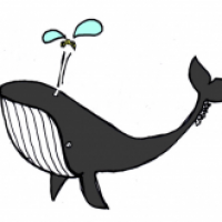 Whale and Wasp
