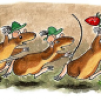 Waldmäuse auf der Flucht