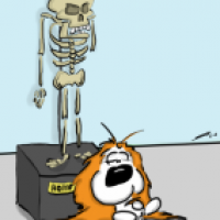 Cav the Cavalier 048